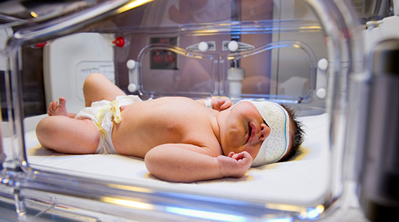 Emergency Rule: Physician Notification Relative to Newborns Exhibiting Signs of Withdrawal